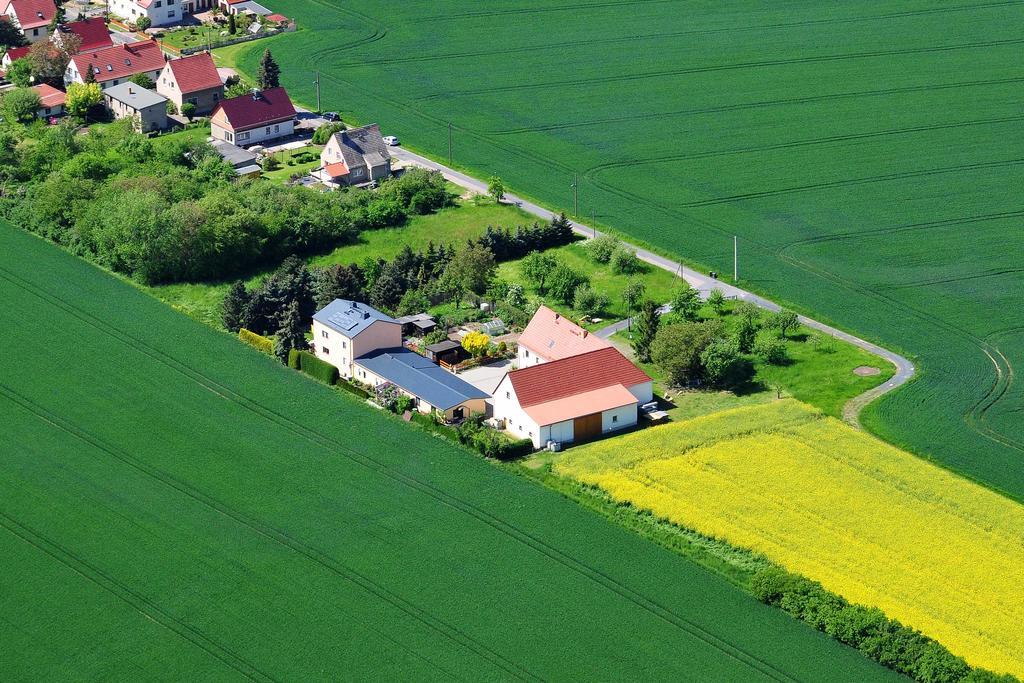 Gastehaus Schirner Otel Niederau Dış mekan fotoğraf